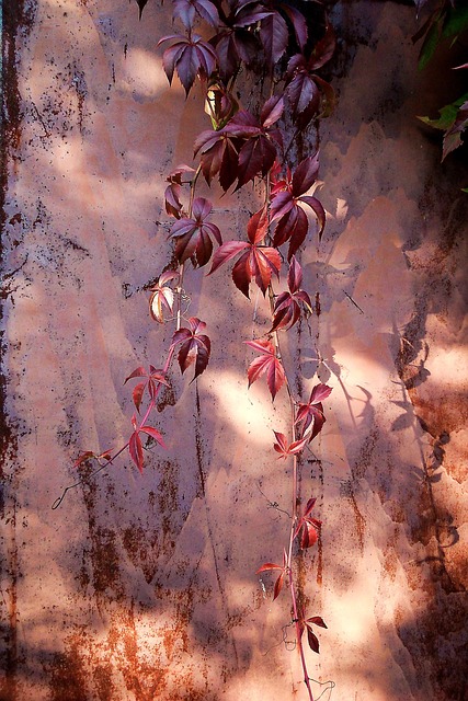 Free Girlish Grapes Autumn photo and picture