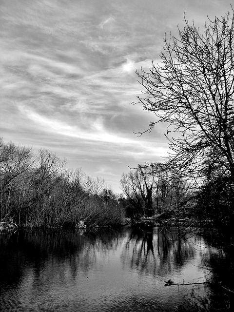 Free River Reflection photo and picture
