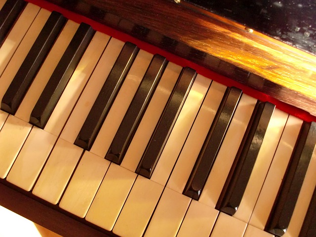 Free Piano Ivory photo and picture