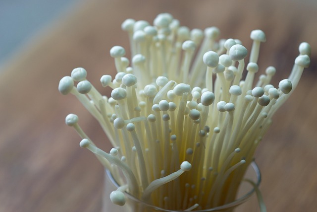Gylden Nålesvamp, Champignon, Mad