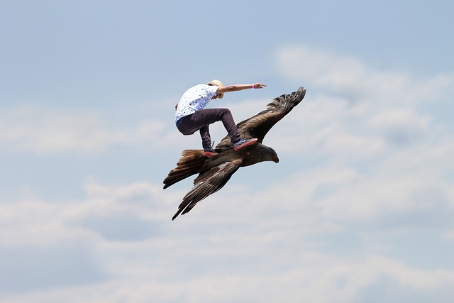 Free Skatebirding Freedom photo and picture