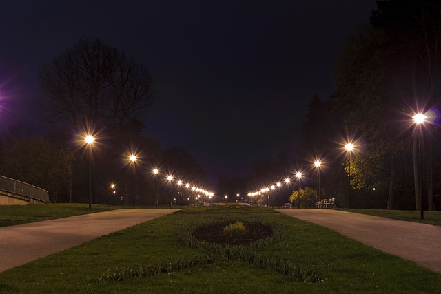 Free Night Park photo and picture