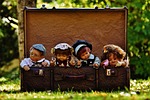 dolls, cute, children