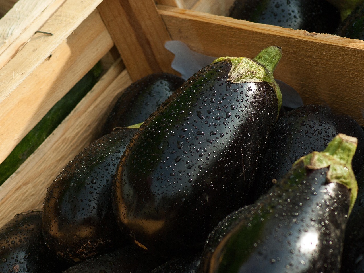Eggplants - free online jigsaw puzzle photo