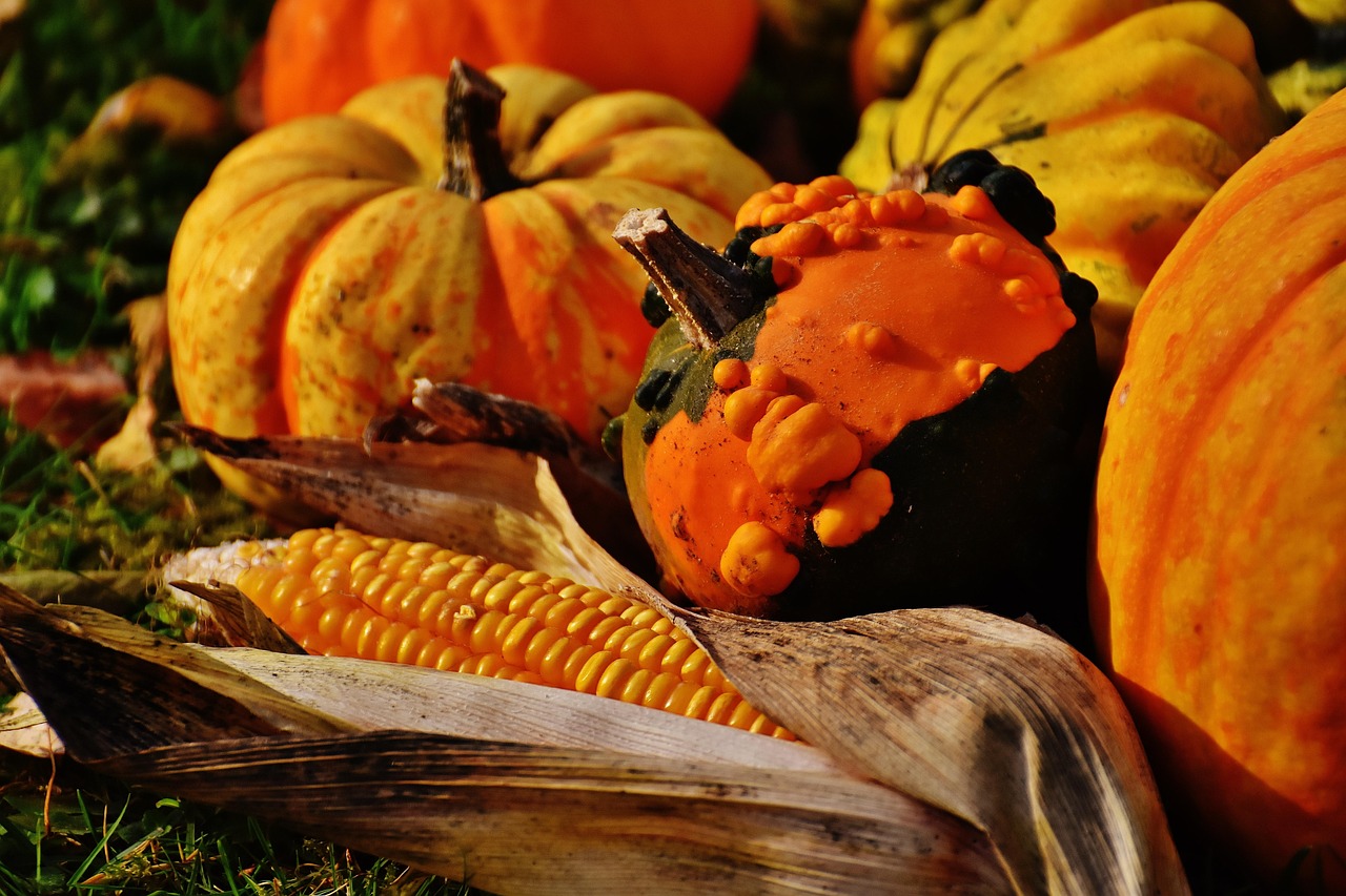 Pumpkins - free online jigsaw puzzle photo