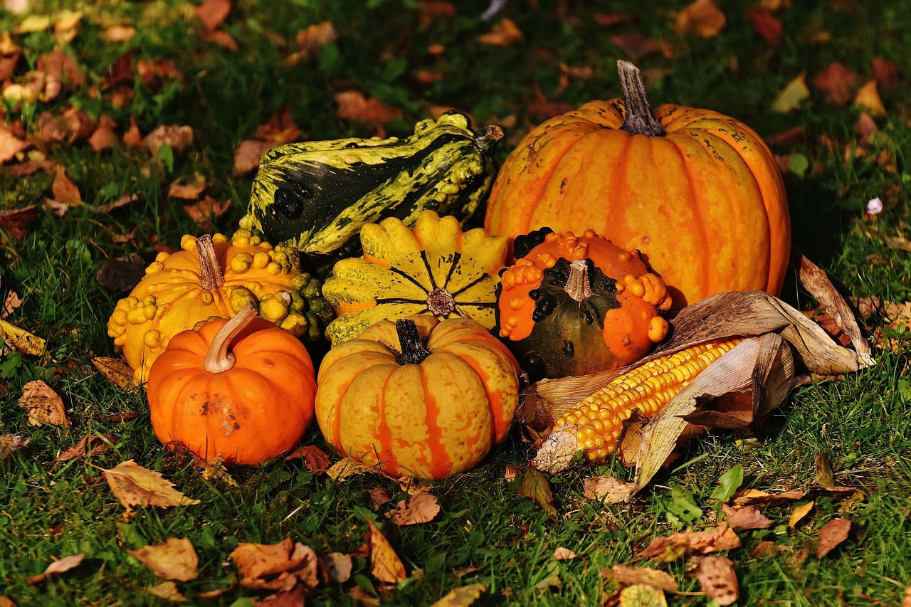Pumpkins - free online jigsaw puzzle photo