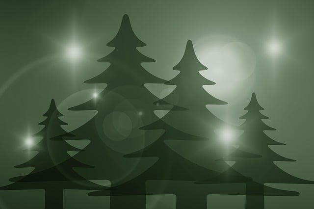 Free trees silhouettes silhouette illustration