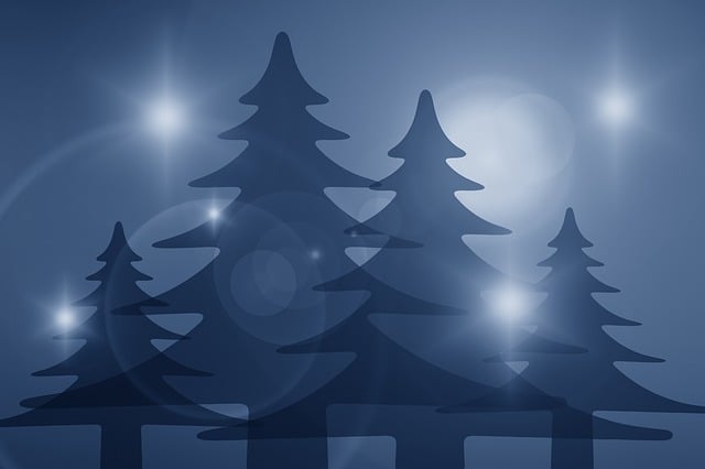 Free trees silhouettes silhouette illustration
