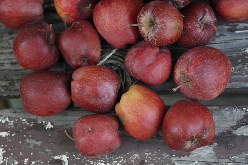 Free Apples Autumn photo and picture