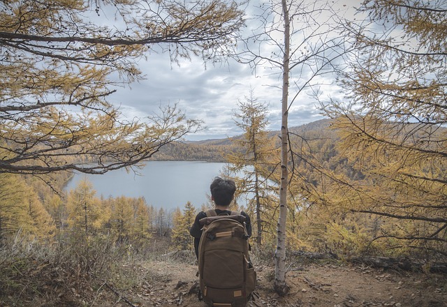 Free Travel The Scenery photo and picture