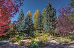 vail, colorado, betty ford park