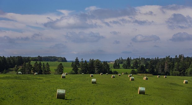 Landschaft, Heuhaufen, Heuballen, Felder