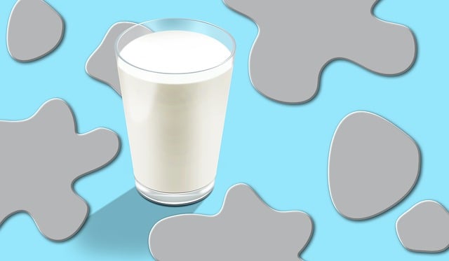Free milk cow glass illustration