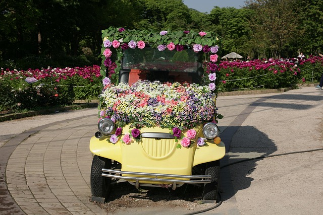 Free Flower Car photo and picture