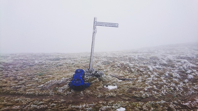 Free Snow Sign photo and picture