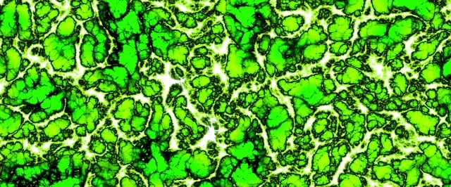 Free banner header biology illustration