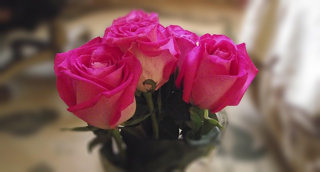 Bloemen, Rozen, Boeket, Roze Rozen