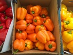 orange, paprika, yellow