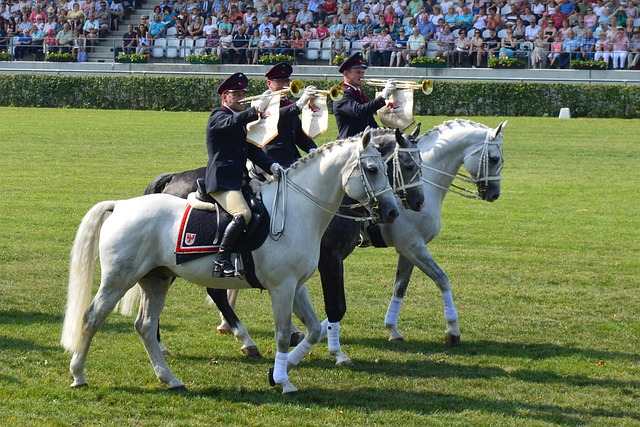 Reiten, Pferde, Schimmel, Musik
