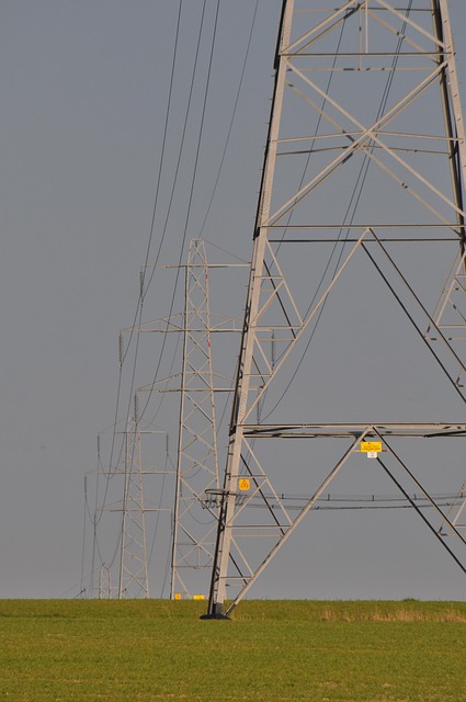 Free Electricity Pylon Field photo and picture