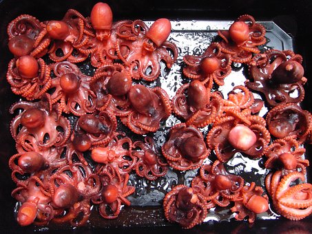 Free Octopus Food photo and picture