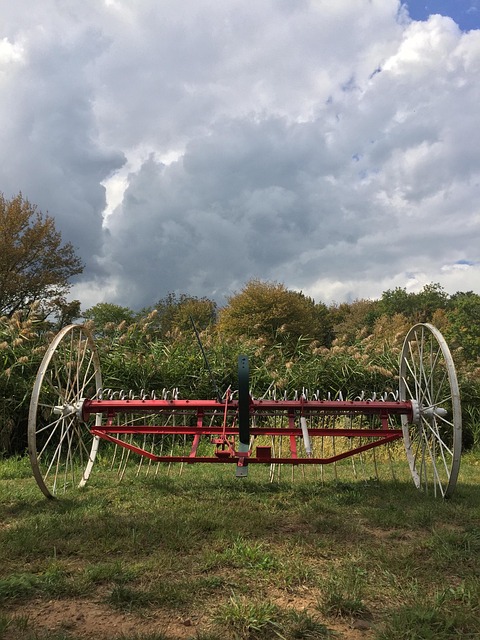 Vintage Landwirtschaftliche Geräte
