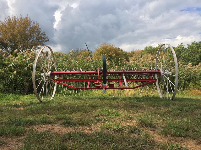 Vintage Landwirtschaftliche Geräte