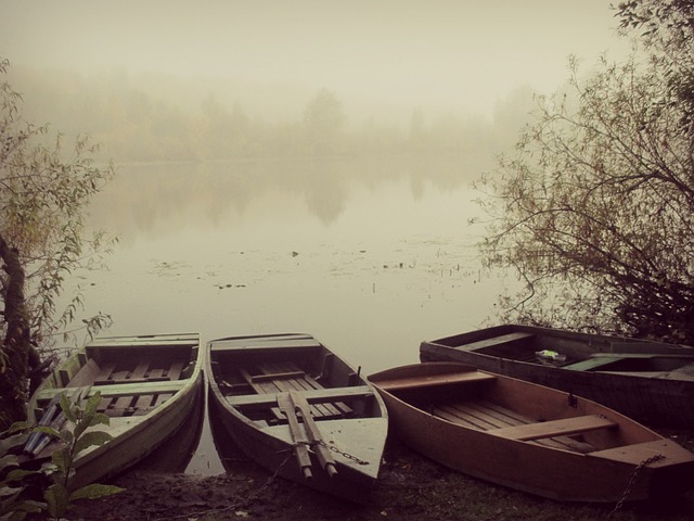 Free Water Lake photo and picture