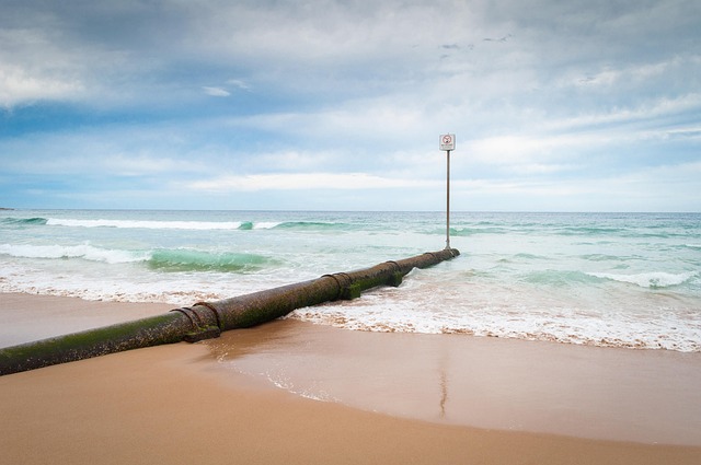 Free Beach Sand photo and picture