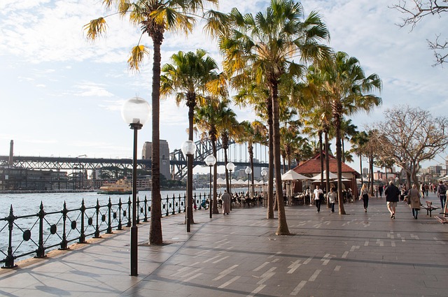 Free Sydney Ocean photo and picture