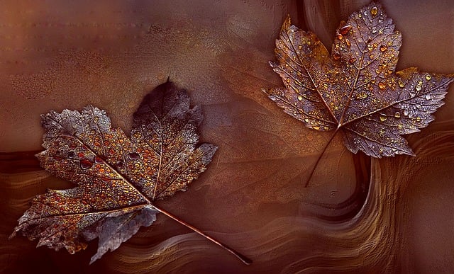 Free leaf bronze arrangement illustration