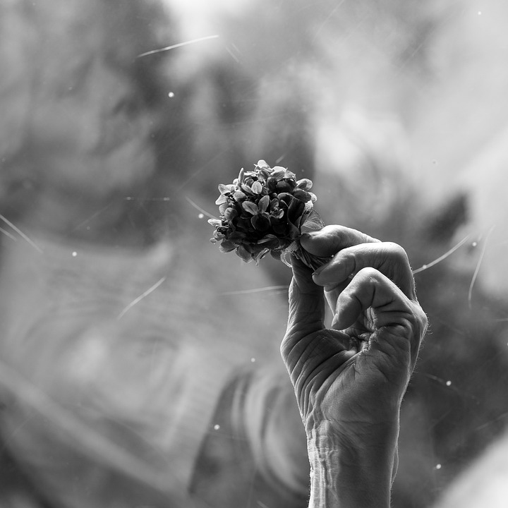 Mano de señora mayor agarrando un ramito de violetas. La foto está en blanco y negro, dando sensación de antigüedad