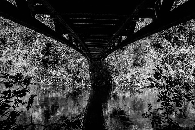 Free Bridge Reflection photo and picture
