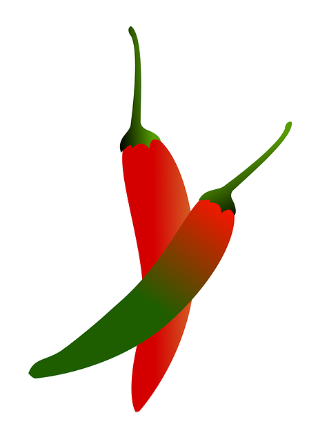 Free chilli pepper food vegetable illustration