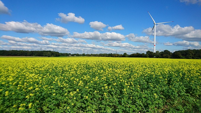 Free Fall Field photo and picture