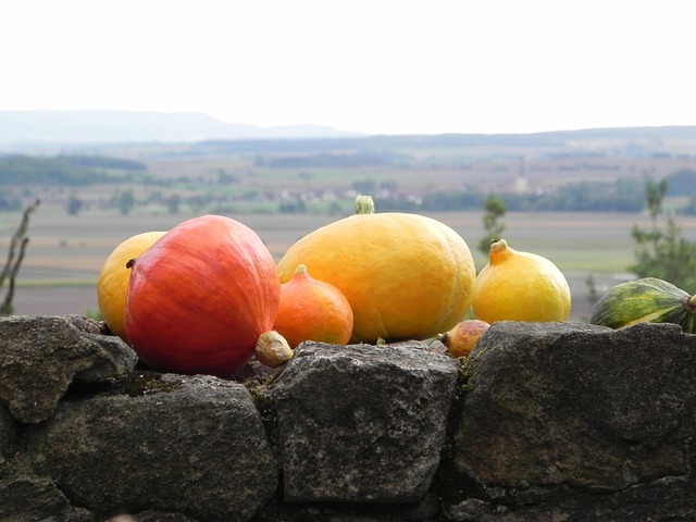 Free Pumpkins Fall photo and picture