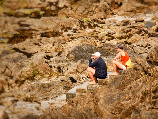 Free Sea Stony Beach photo and picture
