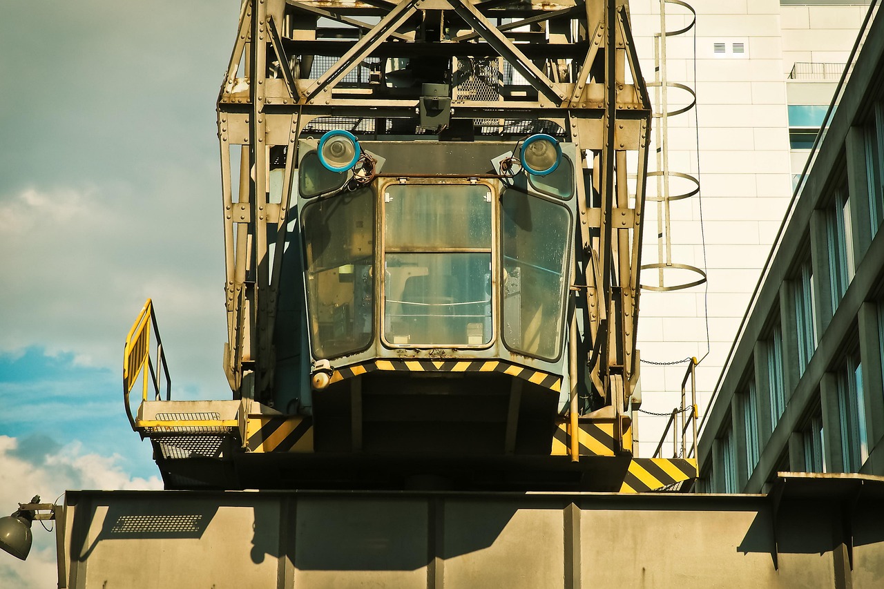 Crane - free online jigsaw puzzle photo