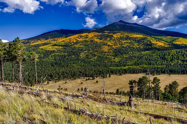 9+ Free Coconino Nemzeti Erdő & Ősz Photos - Pixabay