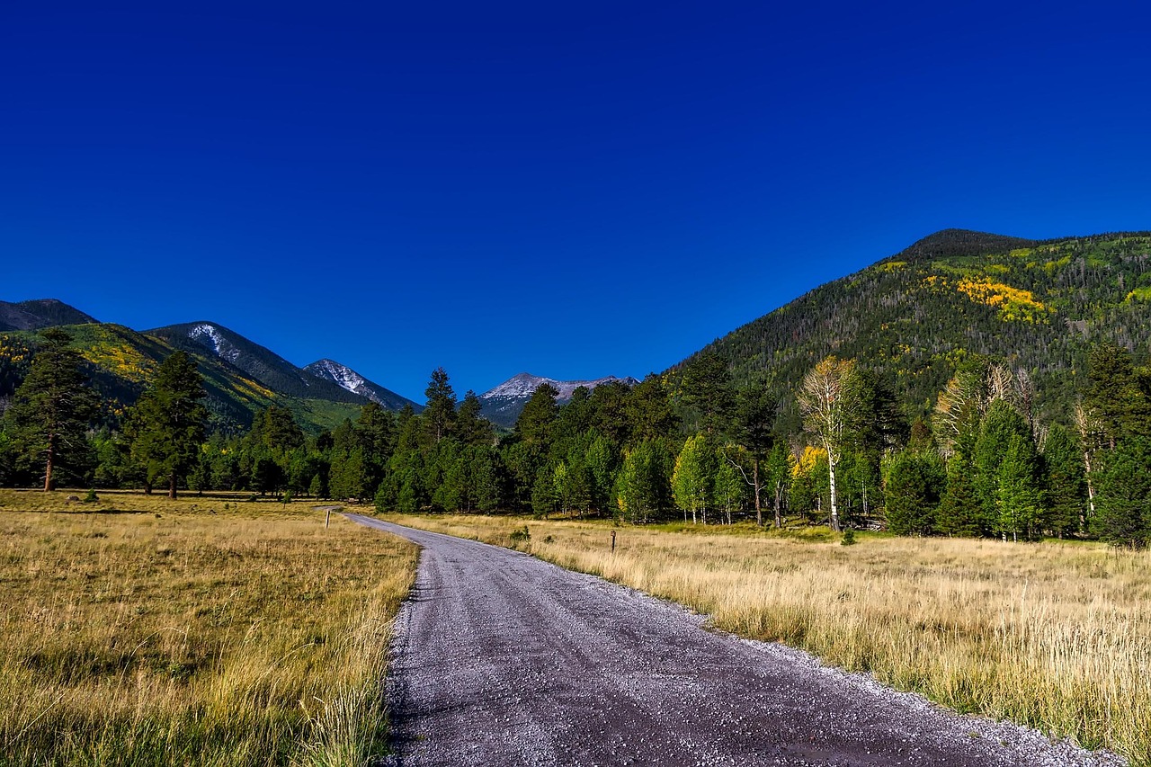 10+ Free Coconino Nemzeti Erdő & Arizona Images Pixabay