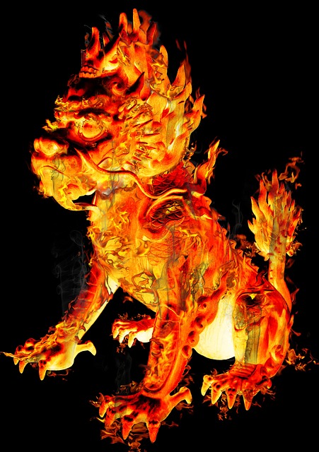 Free Lion Fire illustration and picture