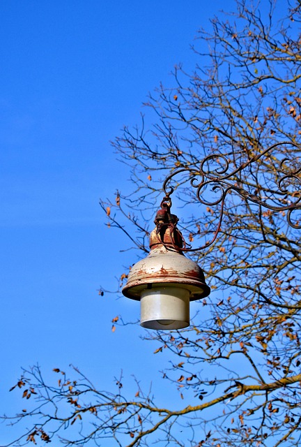 Herbst, Natur, Himmel, Lampe, Alt, Geäst