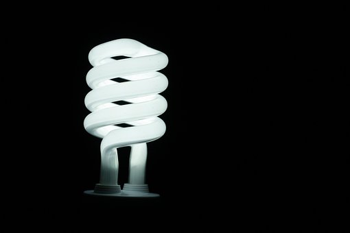 Free Light Bulb photo and picture