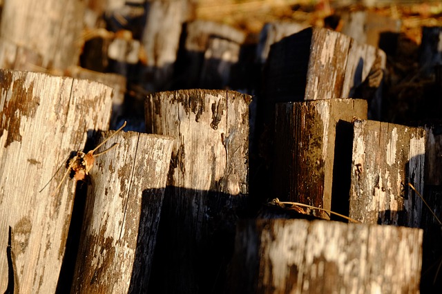 Free Wood Construction photo and picture