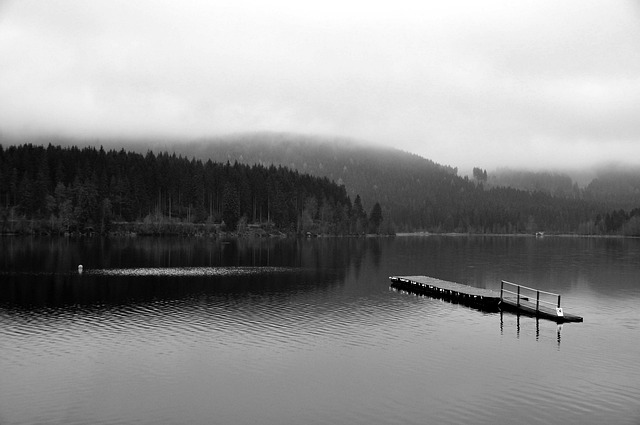 Free Lake Fog photo and picture