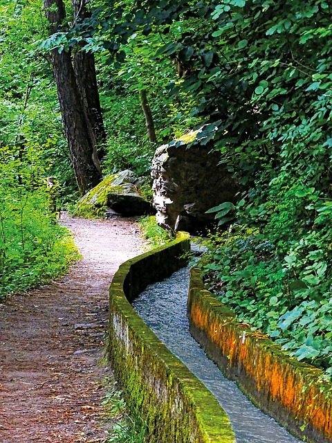 Free Algunder Waalweg South-Tirol photo and picture