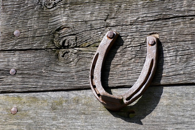 Free Horseshoe Background photo and picture