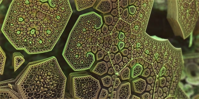 Free fractal complexity 3d illustration
