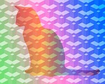cat, kitty, rainbow