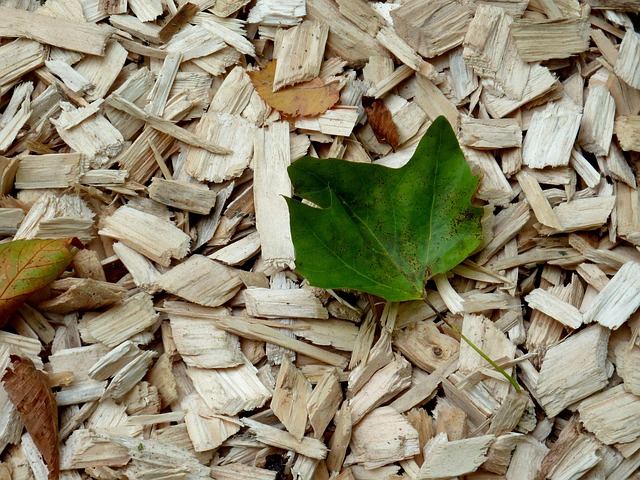 Free Wood Chips Leaf photo and picture